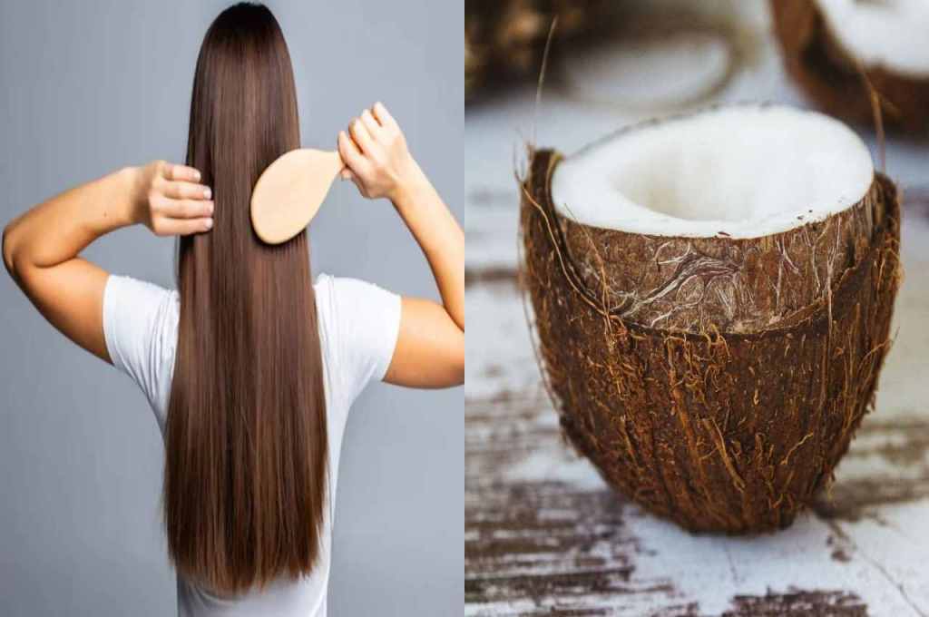 benefits of applying curd on hair News in Hindi: हिंदी benefits of applying  curd on hair News, Photos, Videos