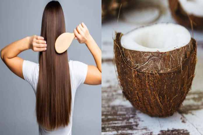 Hair Growth in Hindi Coconut Milk and curd For Fast Hair Growth