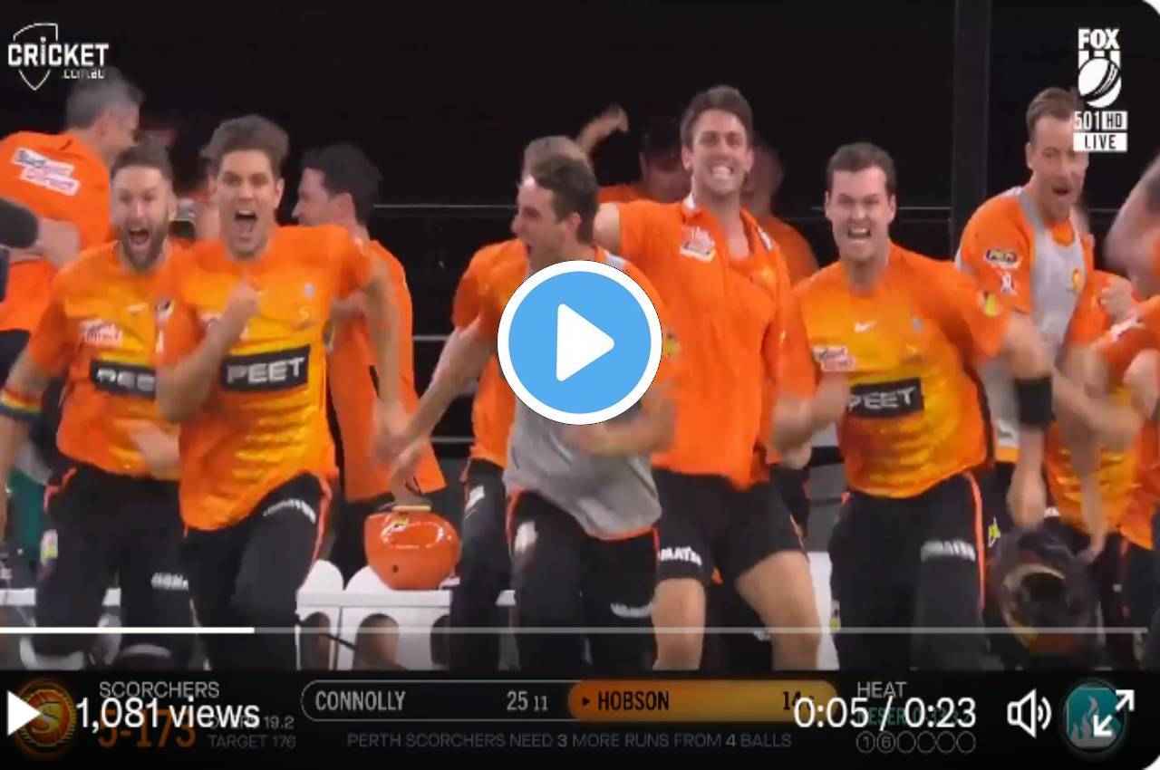 BBL 2023 Perth Scorchers became winner of Big Bash League 2023