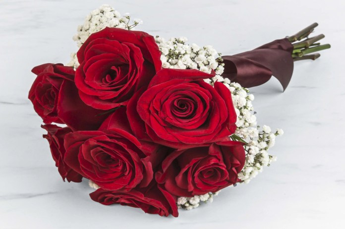 Rose Day