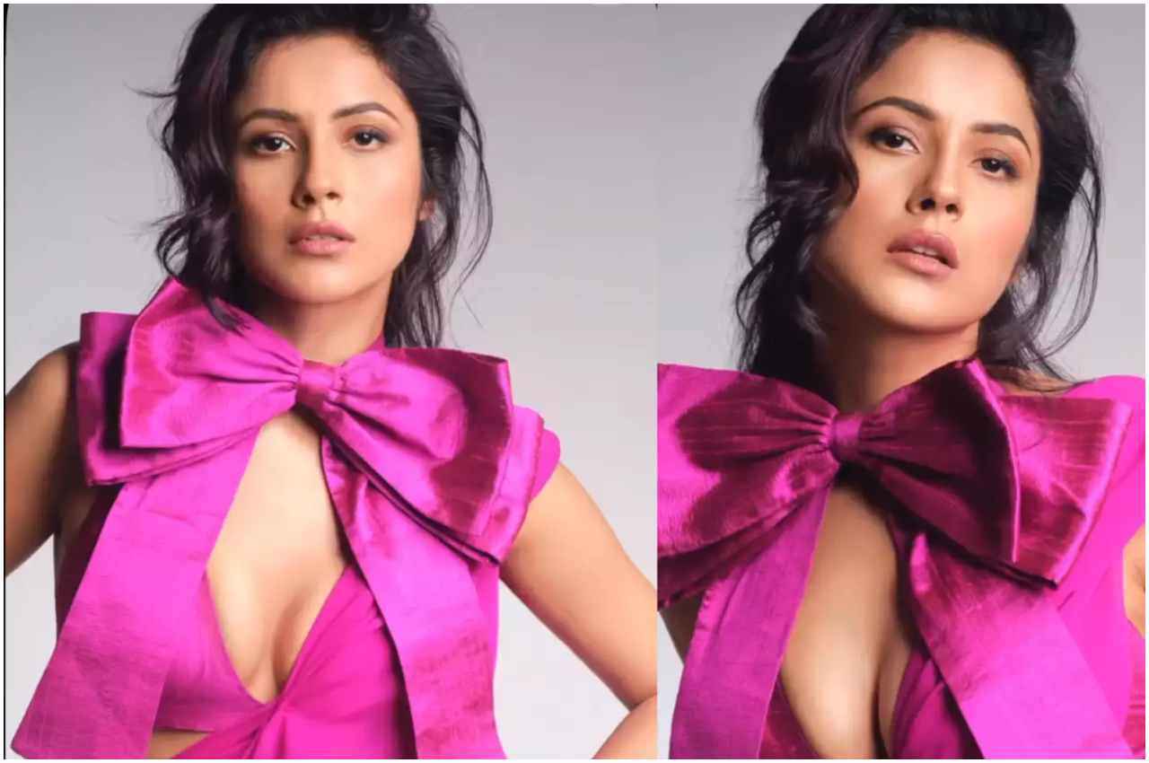 Shehnaaz Gill latest Photoshoot: पिंक साड़ी में शहनाज के फोटो ने इंटरनेट पर मचाया धमाल, फैंस बोले- कुड़िये नी तेरी वाइब