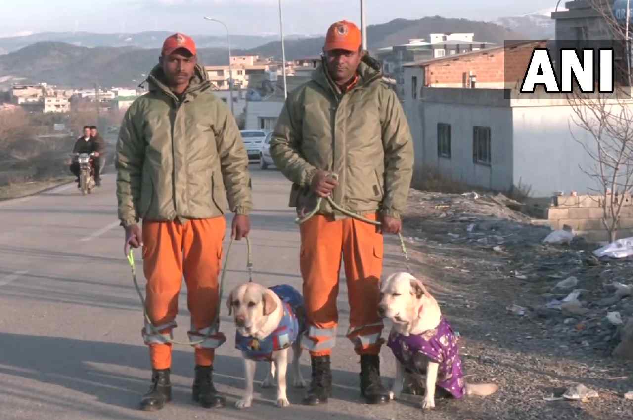 Turkey Earthquake, Turkey Earthquake, dog squad, Earthquake In Turkey, Honey, Julie