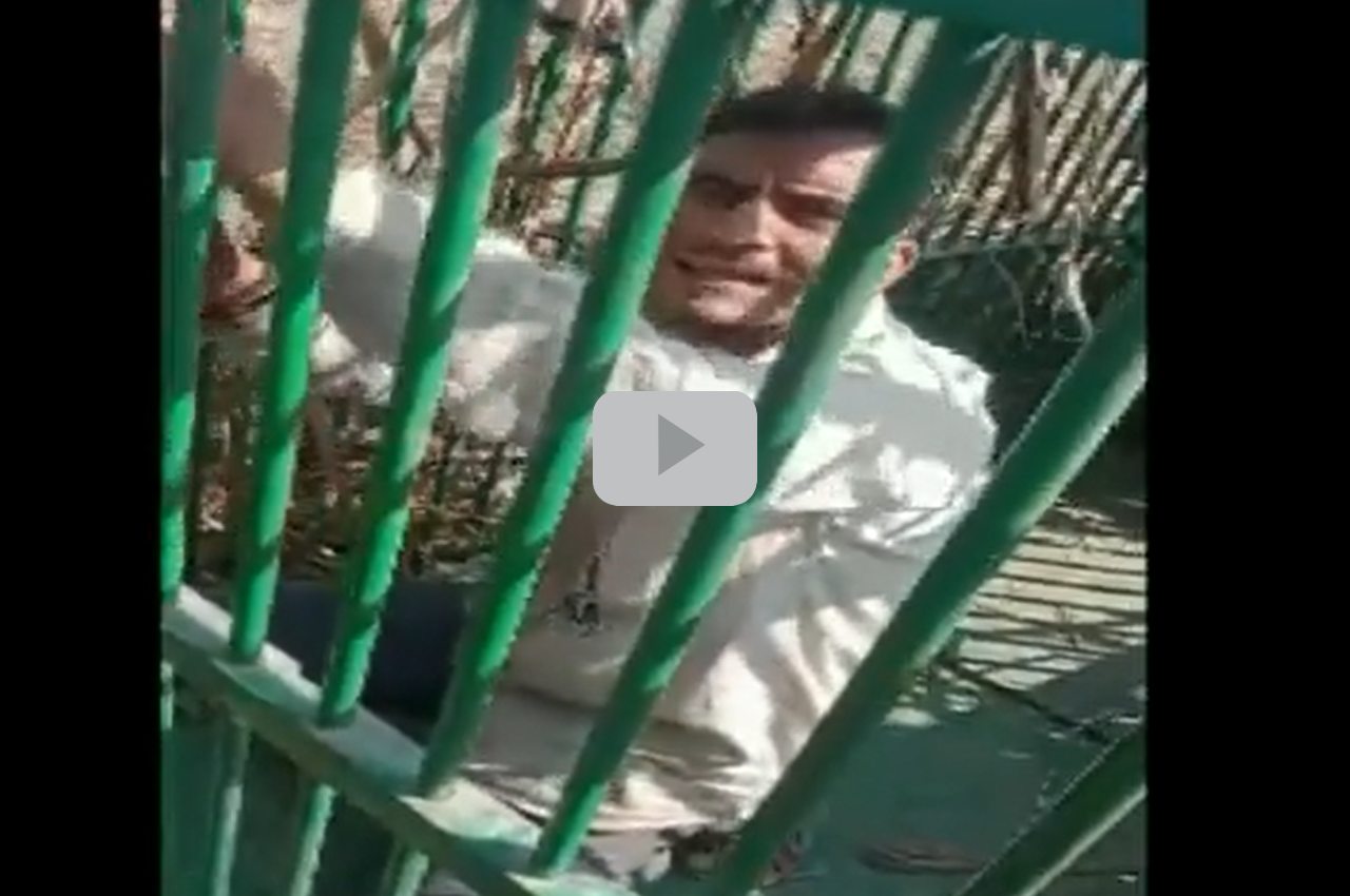 Viral Video: Man trapped in leopard cage in Bulandshahr for greed of chicken, hindi news
