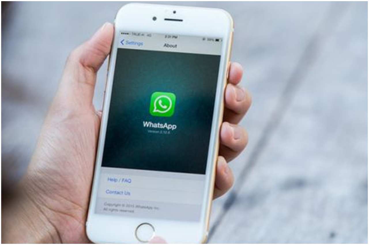 WhatsApp Media Sharing Feature, WhatsApp Media Share Limit Extend