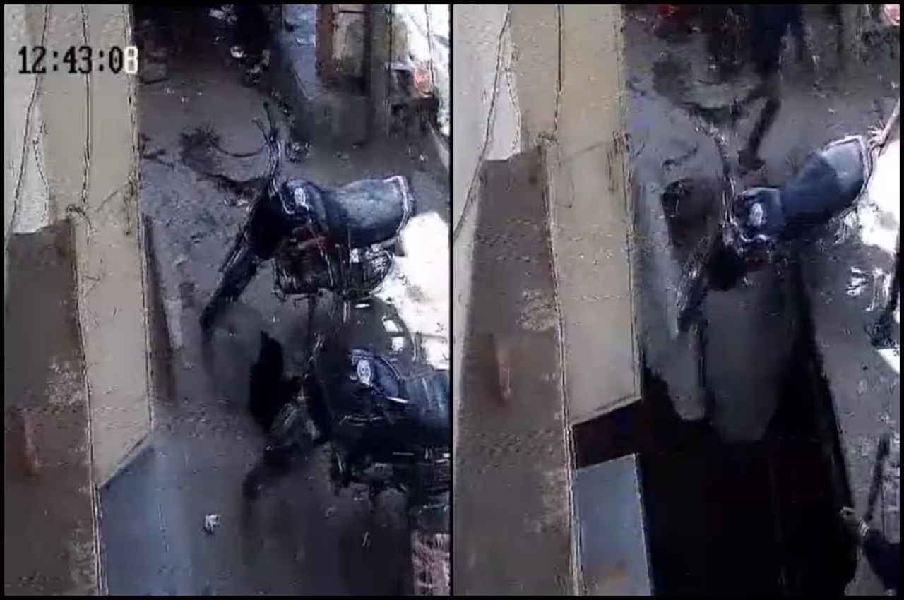 Delhi Video: क्या से क्या हो गया...सड़क गहरे गड्ढे में तब्दील, कुत्ता भी गिरा अंदर, लेकिन हैरान करने वाली थी ये बात