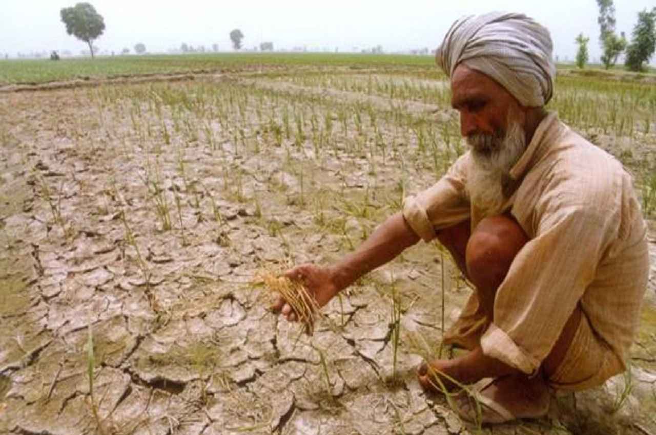 farmers