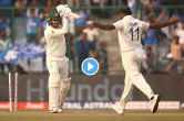 mohammed shami clean bowled nathan lyon