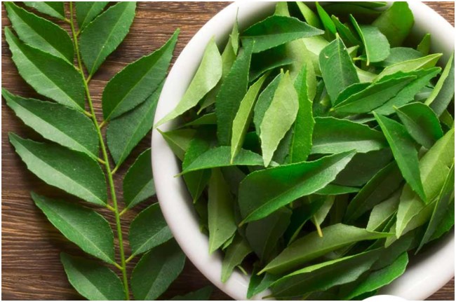 Curry Patta Khane Ke Fayde