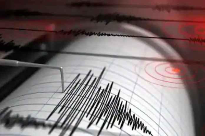 Earthquake In Newzeland