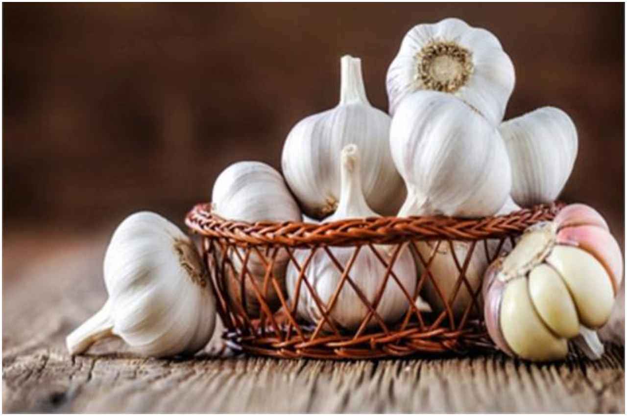 Garlic Health Benefits