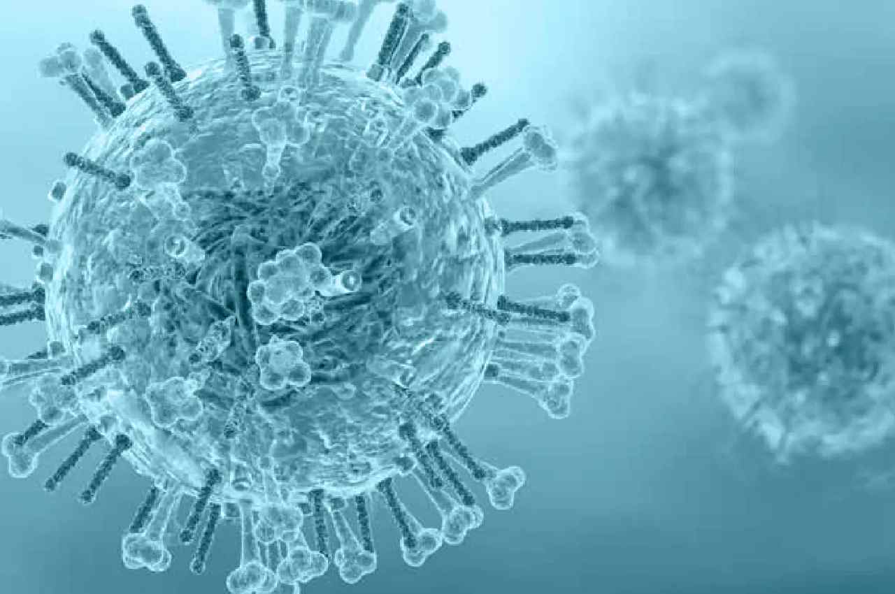 swine flu virus H3N2 ,mutant swine flu virus,Gujarat