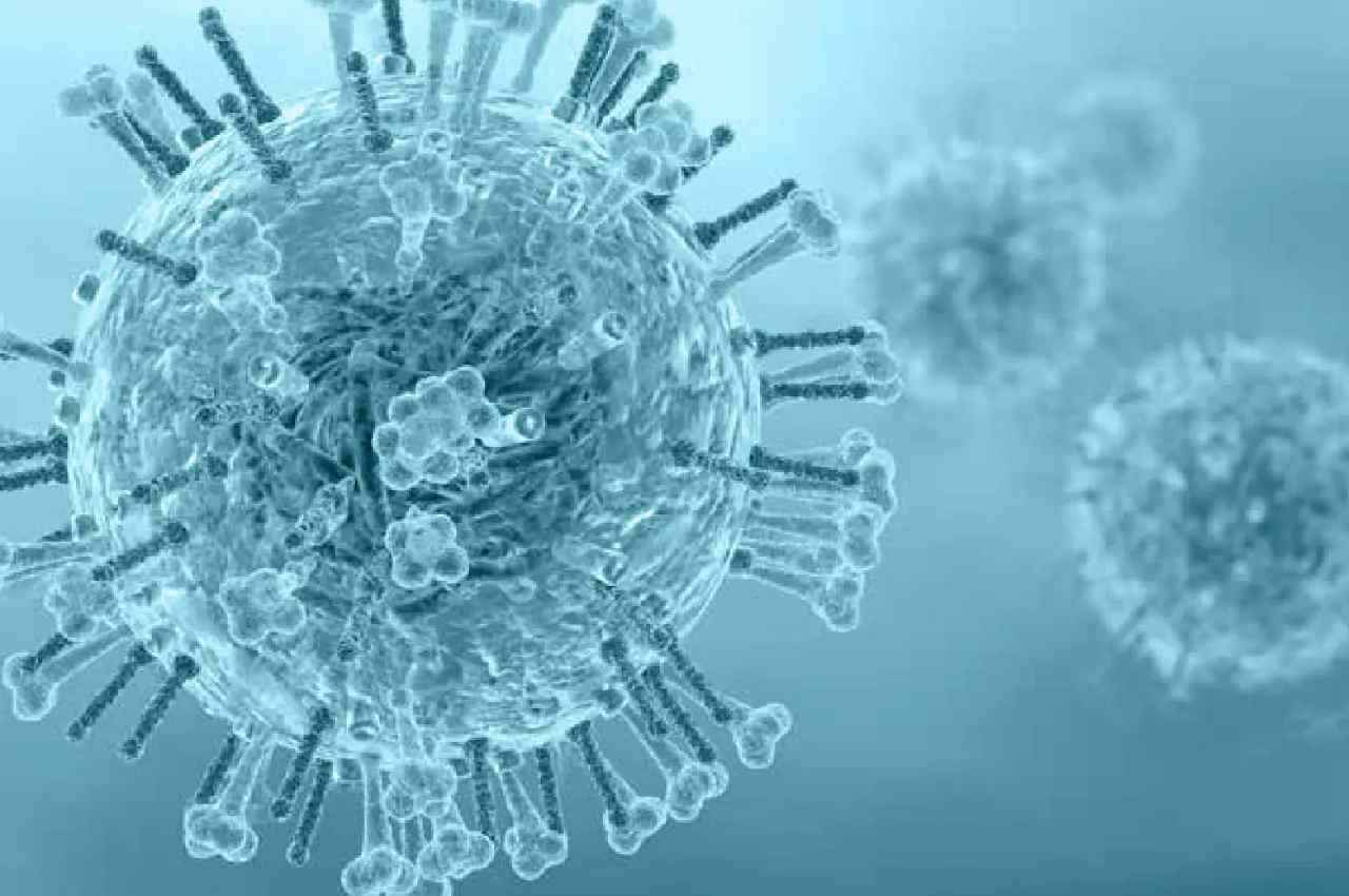 Gujarat H3N2 Death Case: गुजरात में एच3एन2 इन्फ्लूएंजा वायरस से पहली मौत, 60 दिनों में देश में आए 451 मामले