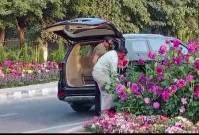 Gurugram G20 Event, G20 Summit in Gurugram, g20 india, gurugram news, Gurugram Viral Video, Haryana CM, Haryana News, Stealing Flower Pots