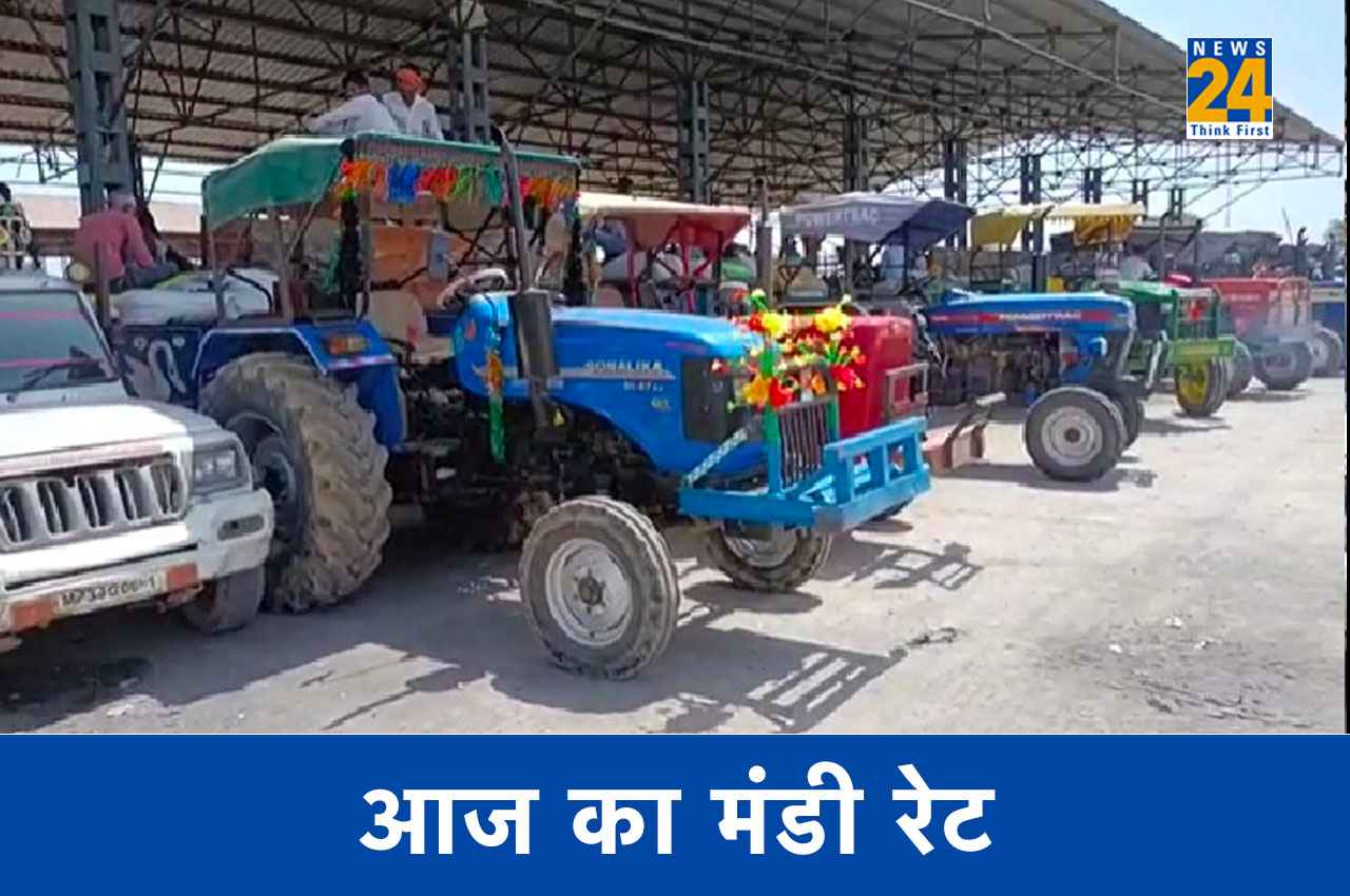 mandi bhav