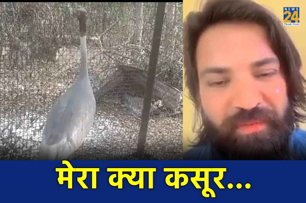 UP News: 'सारस' से दोस्ती आरिफ को पड़ी भारी; वन विभाग ने कर दी कार्रवाई