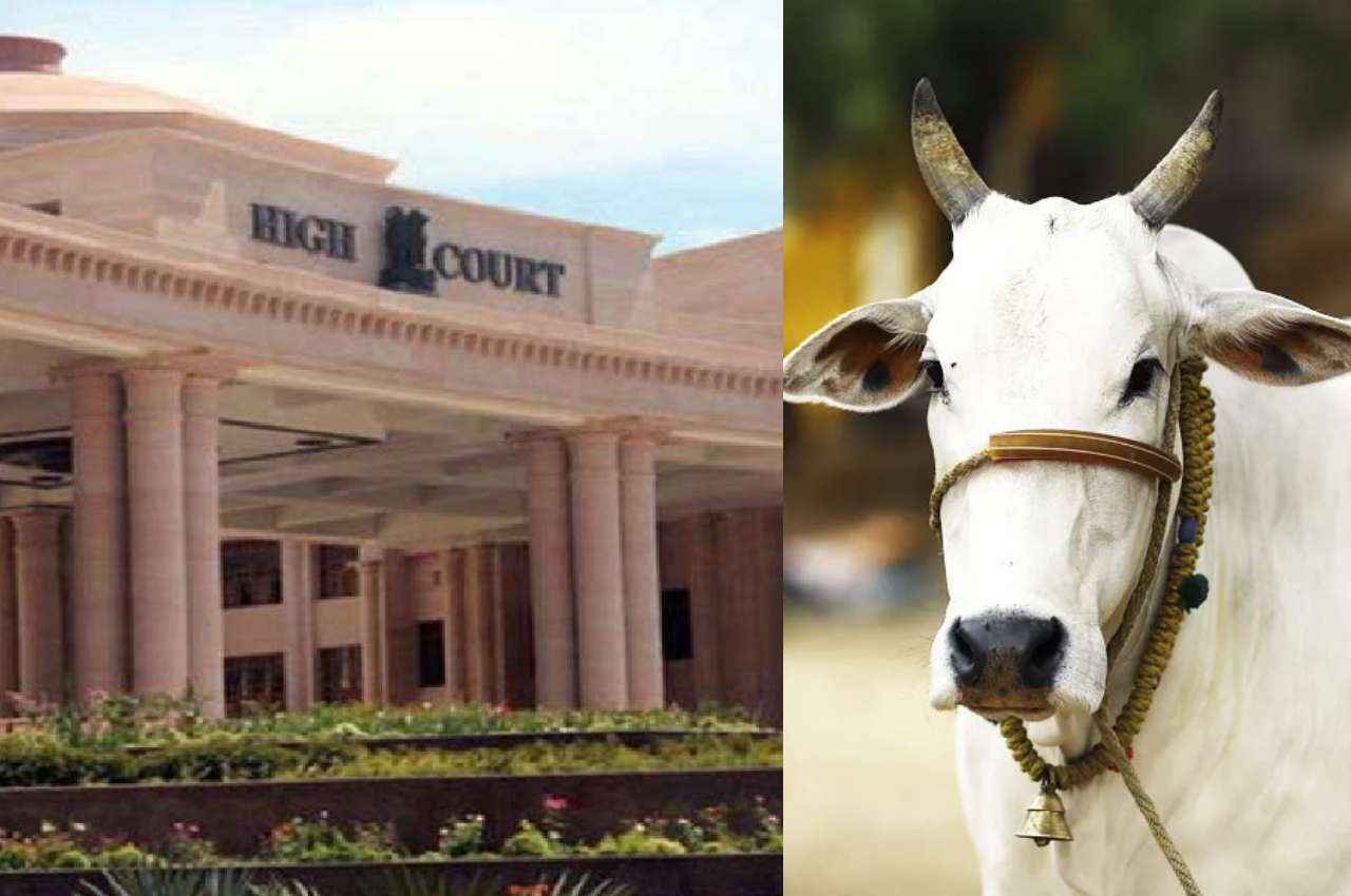 इलाहाबाद HC: लखनऊ पीठ के जस्टिस शमीम अहमद की गाय को लेकर अपील, डिप्टी सीएम बोले- मैं स्वागत करता हूं