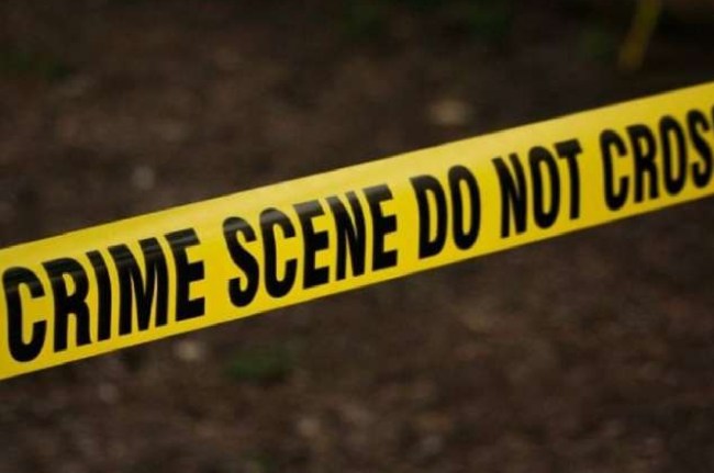 Delhi news Delhi news, shastri park delhi, mosquito coil, delhi police