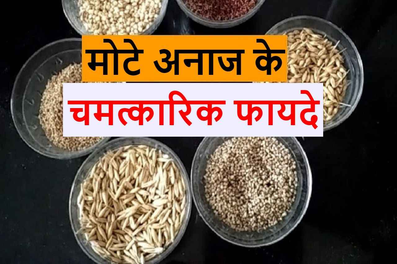 Super Food: डॉक्टर मोटे अनाज के सेवन की सलाह क्यों देते हैं, क्या हैं इसके फायदे? जानें