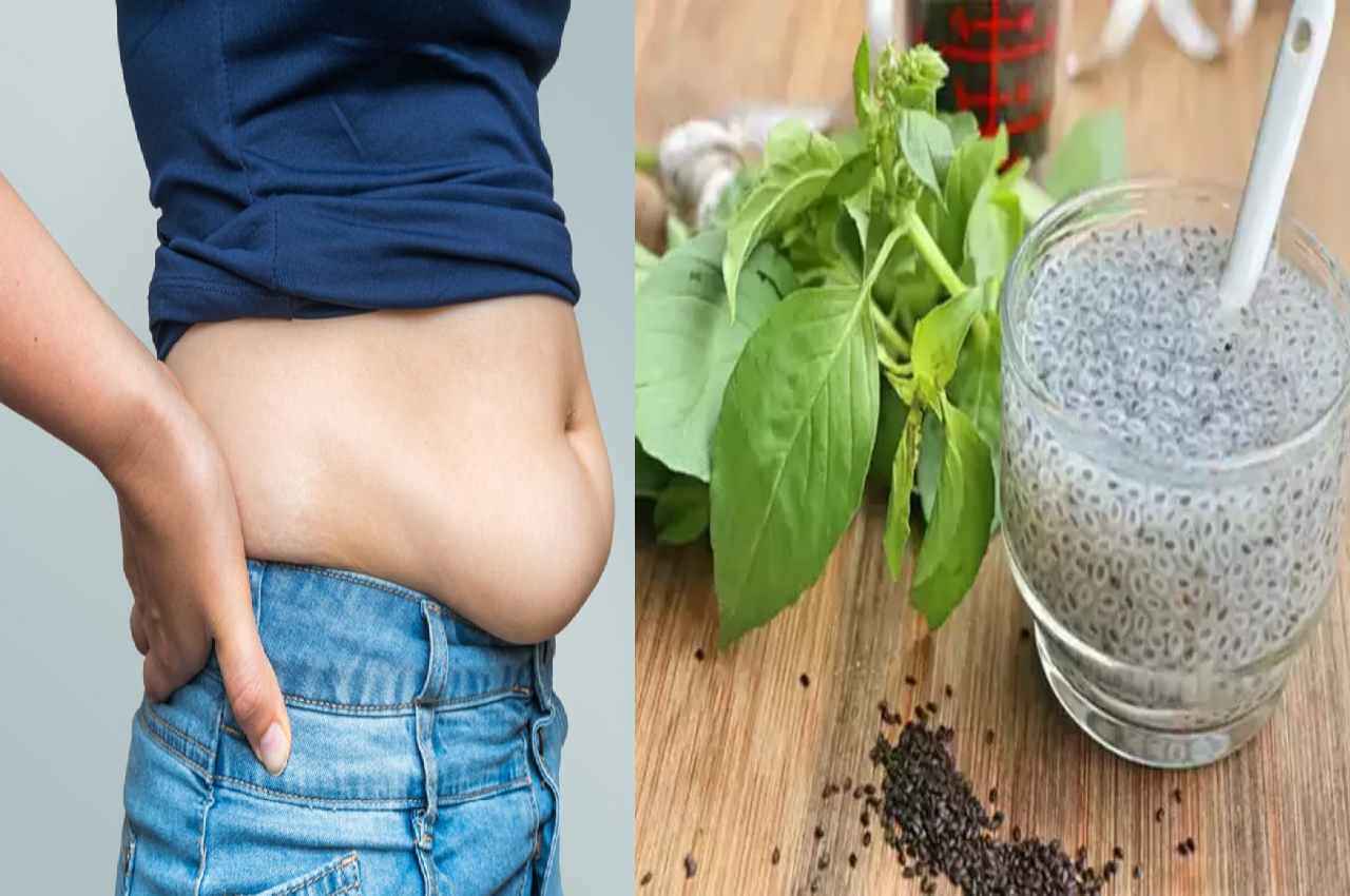 Weight Loss Drink: गर्मियों में पीना शुरू करें ये 3 ड्रिंक, घर बैठे-बैठे गायब होगी पेट की चर्बी