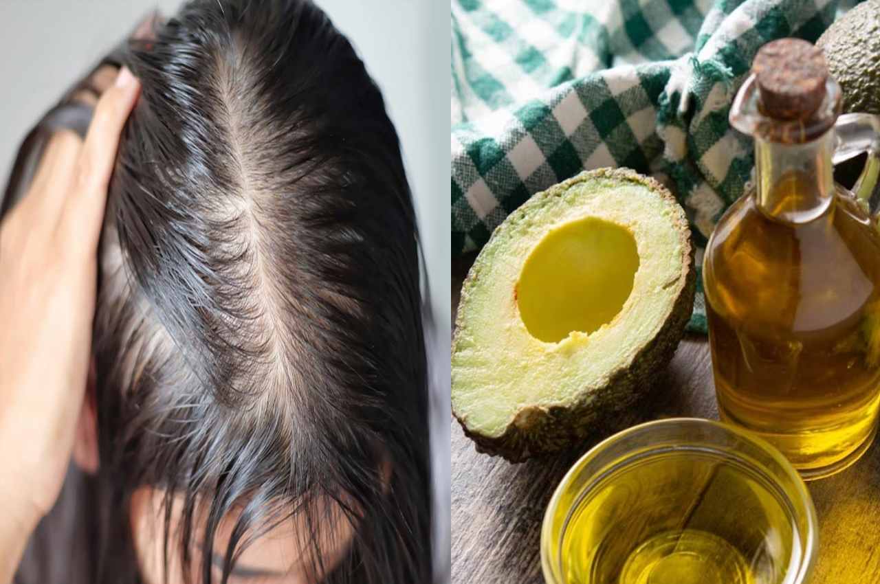 Hair Care OIL balon me Avocado Oil lagane ke fayde