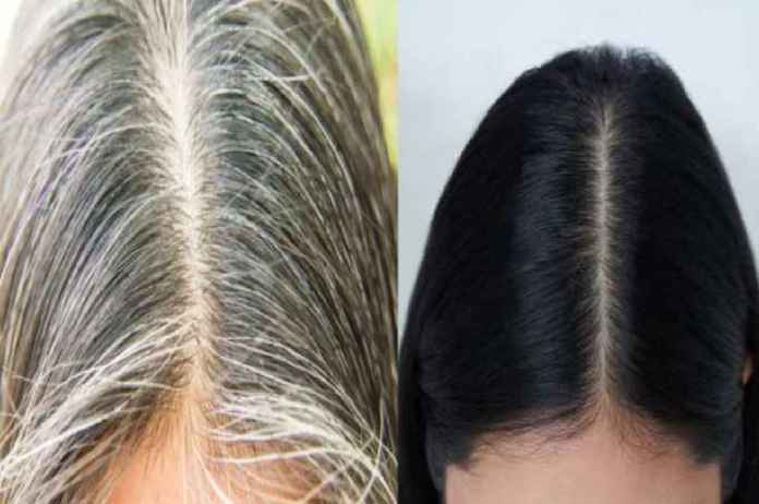 Hair Care TIPS Get rid of white hair with green fenugreek