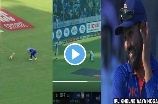 IND vs AUS 3rd Odi halt some time because dog Run onto field Chepauk Stadium