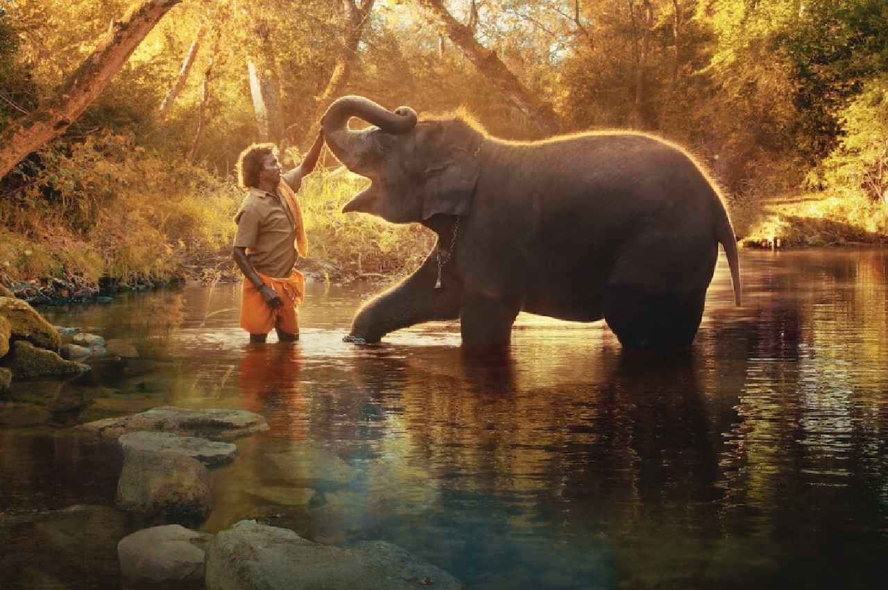Oscars 2023: ऑस्कर में भारत ने रचा इतिहास, 'द एलिफेंट व्हिस्परर्स' ने बेस्ट शॉर्ट डॉक्यूमेंट्री का अवॉर्ड जीता