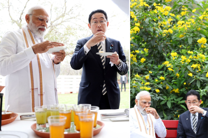 Narendra Modi, Fumio Kishida, Japneese Prime Minister, Delhi