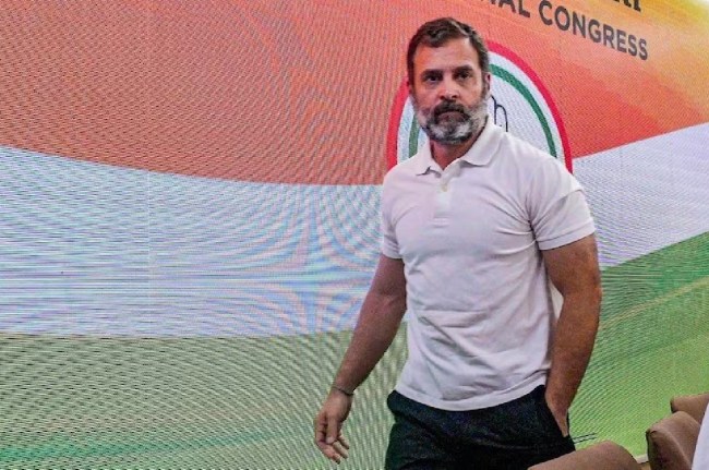 congress, Kerala, Rahul Gandhi, Wayanad, wayanad visit