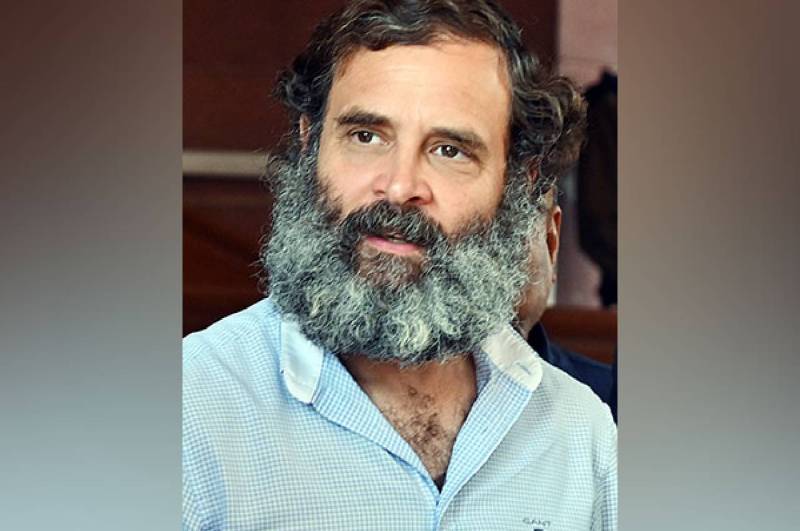 Rahul Gandhi disqualification, Lok Sabha, Congress, Kerala, Wayanad Congress
