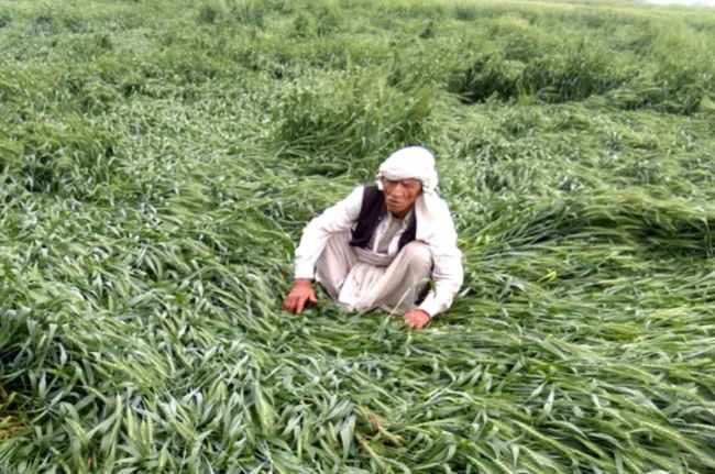 Rajasthan Weather Update