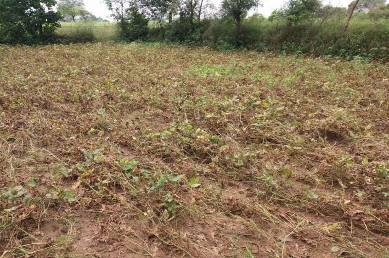 Rajasthan weather Update Rajasthan weather Update