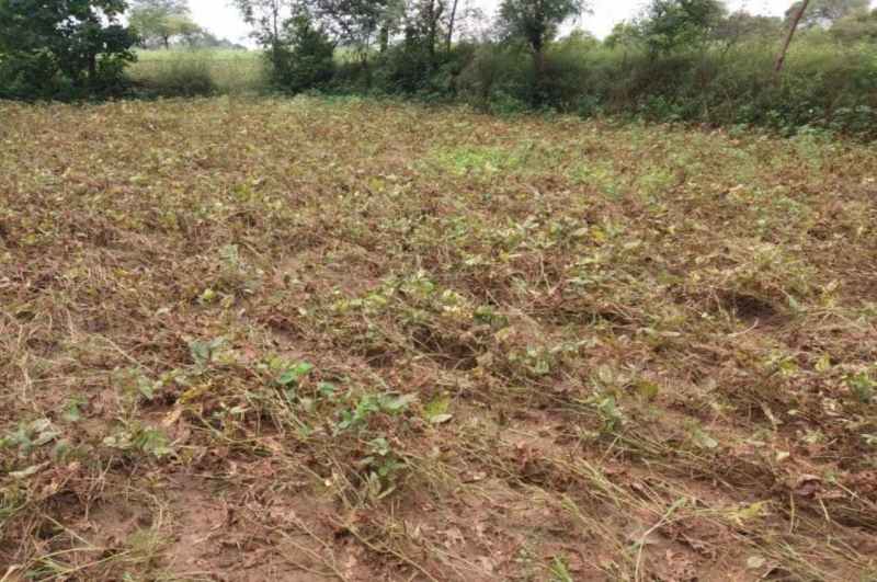 Rajasthan weather Update