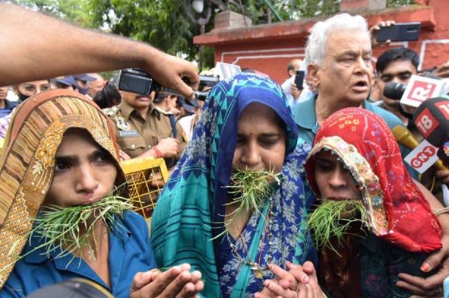 Rajasthan Rajasthan, Rajasthan Protest, Pulwama Widows, CM Ashok Gehlot, Rajasthan Govt, Sachin Pilot, BJP MP Kirodi Lal Meena