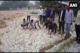 UP Weather News_ hailstorm in Lalitpur