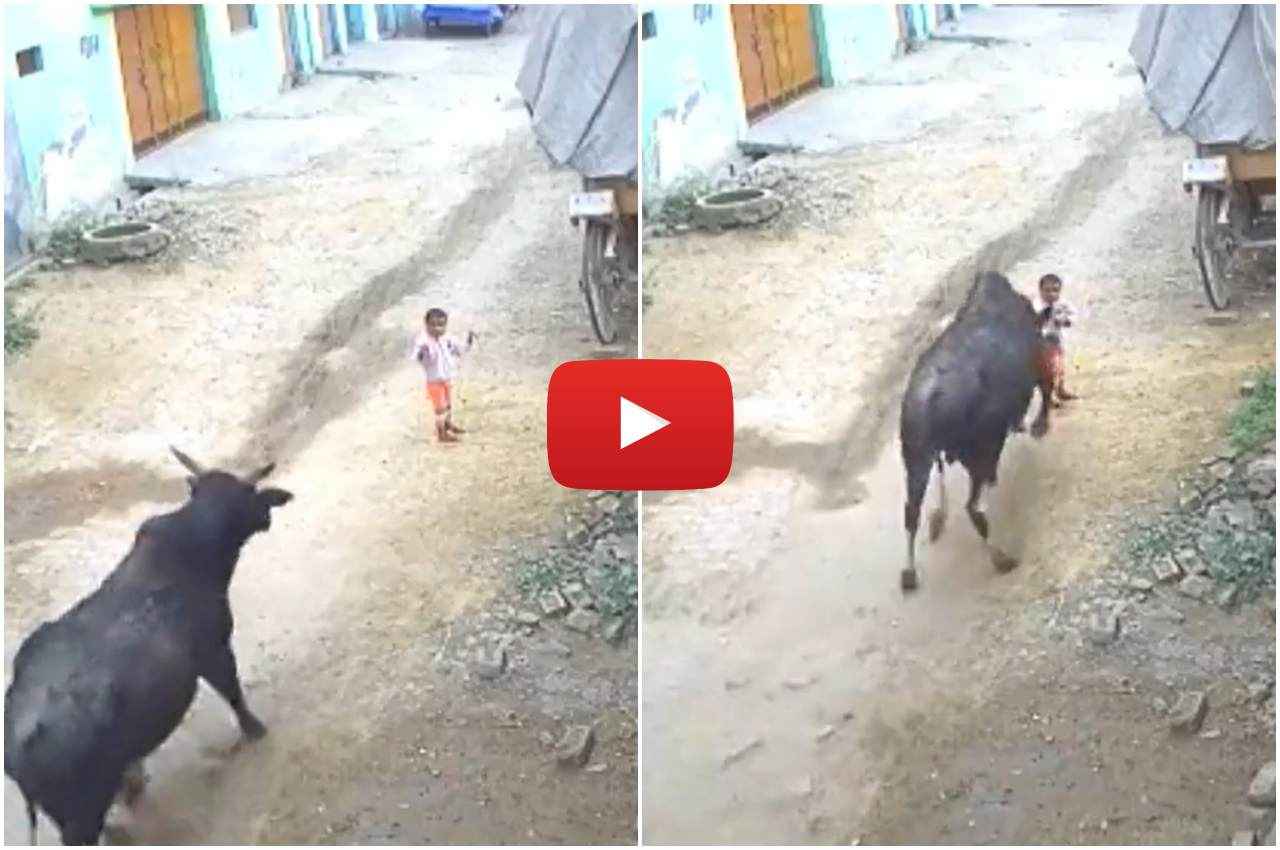 Viral Video, Aligarh, Hindi News, UP Viral Video, Aligarh, Hindi News, UP