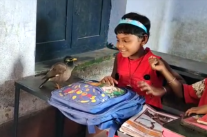 West Bengal, West Bengal News, Common Myna Bird, Mayna Ankita Friendship, Panagarh, Panagarh News, Myna Ankita Viral News