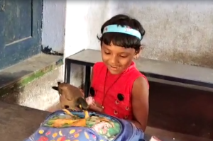 West Bengal, West Bengal News, Common Myna Bird, Mayna Ankita Friendship, Panagarh, Panagarh News, Myna Ankita Viral News