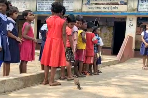 West Bengal, West Bengal News, Common Myna Bird, Mayna Ankita Friendship, Panagarh, Panagarh News, Myna Ankita Viral News