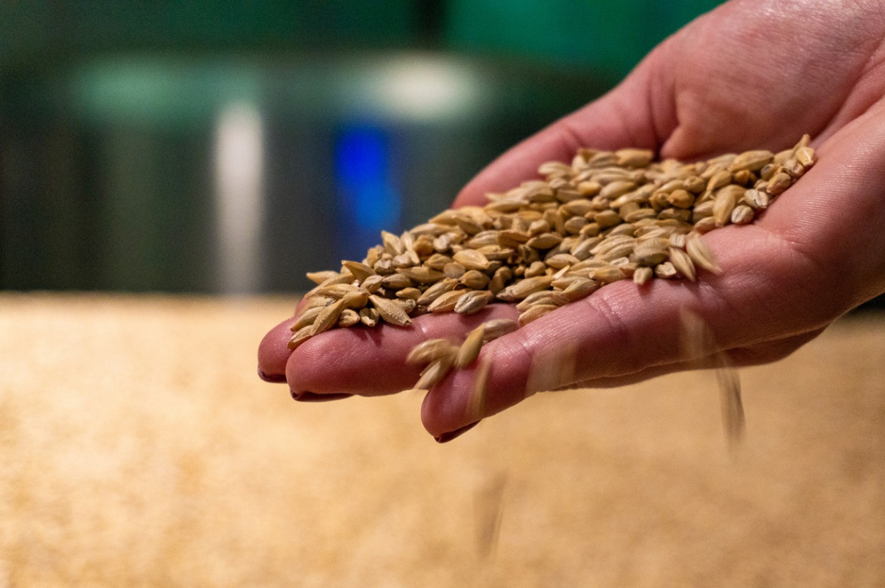 Pakistan Goverment, Pakistan News, Pakistan Wheat Crisis