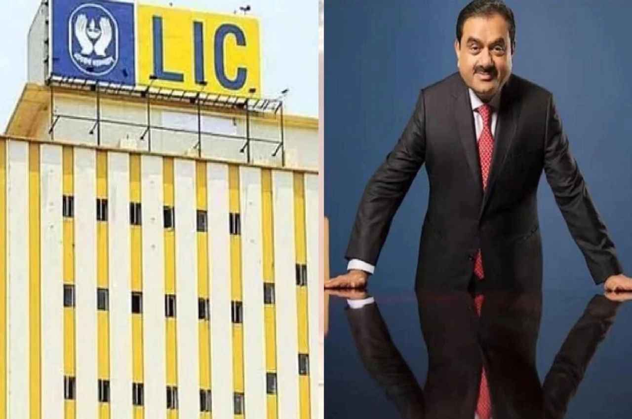 Back in Profit! अडानी के शेयरों में LIC निवेश की मार्केट वैल्यू हुई इतनी, लगातार हो रहा नॉन-स्टॉप फायदा