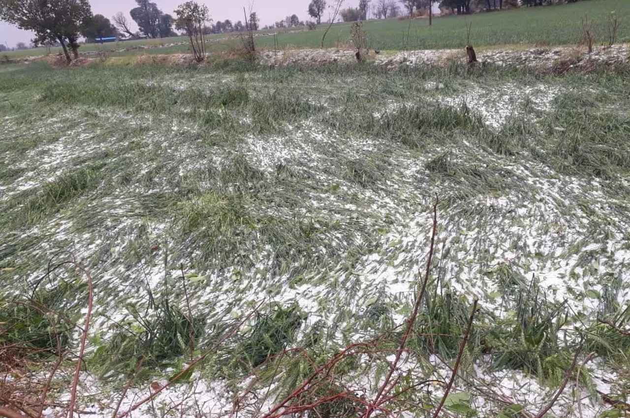 MP Weather: मध्य प्रदेश में अगले 3 दिन तेज बारिश की संभावना, ओले गिरने का भी अलर्ट