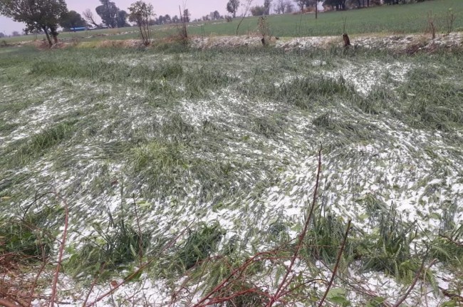 mp weather update Heavy rain and hailstorm alert