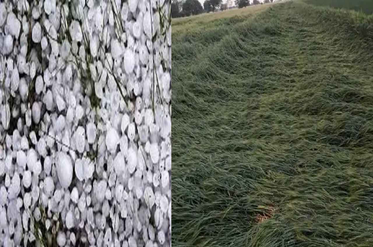 mp weather update heavy rain in bhopal ujjain hailstorm alert