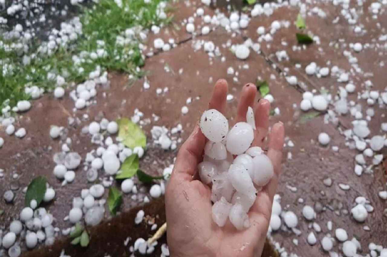 weather update