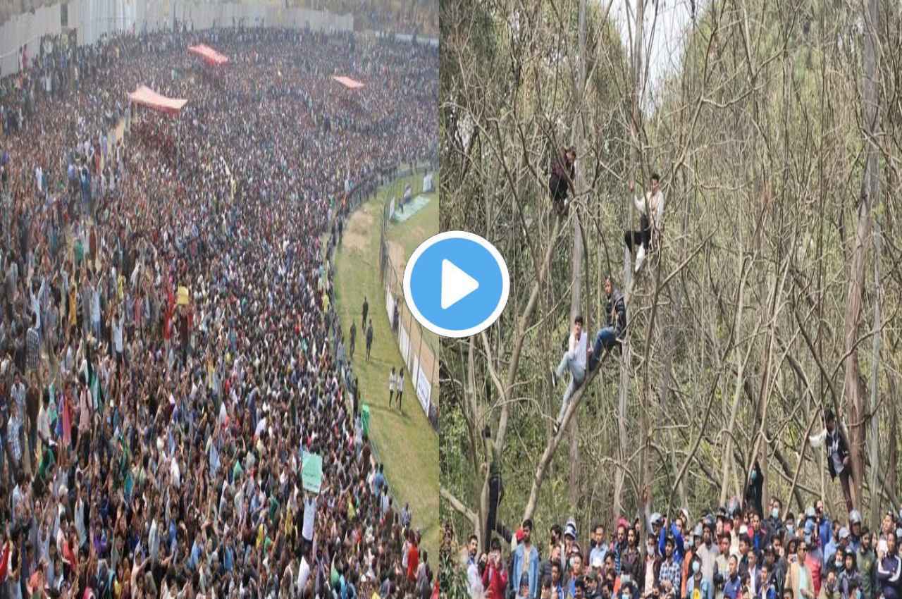 क्रिकेट की दीवानगी, मैदान पर जगह नहीं मिली तो फैंस ने पेड़ पर चढ़कर देखे चौके-छक्के, देखें video