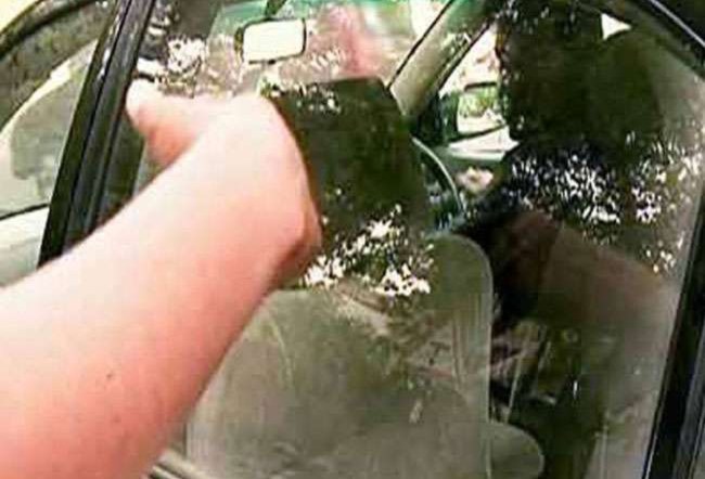 noida news, crime news, theft, car