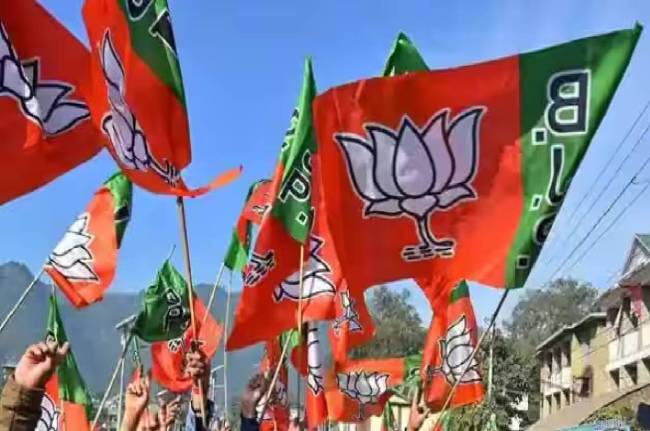 karnataka Elections 2023, Bharatiya Janata Party, star campaigners, PM Modi, JP Nadda, Rajnath Singh