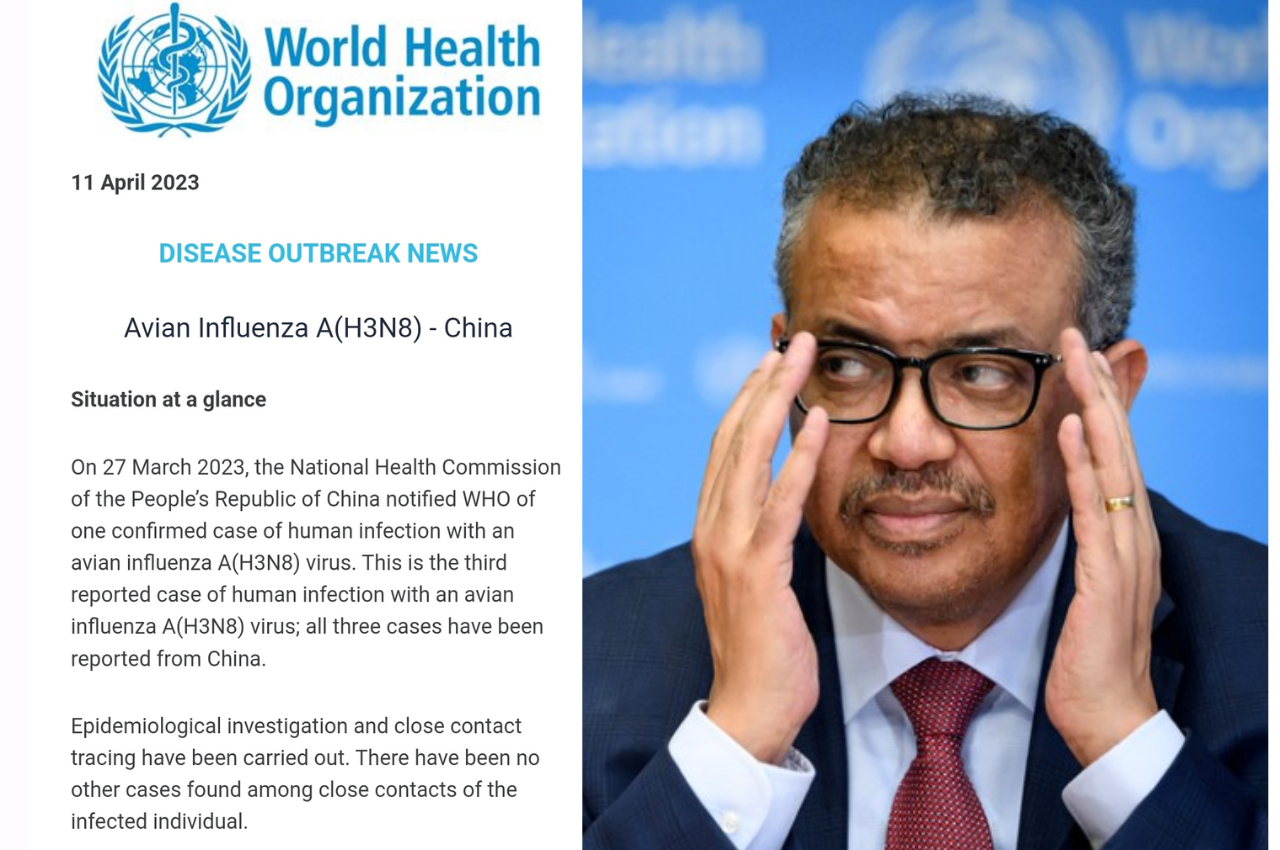 H3N8 bird flu, China, WHO, World Health Organization