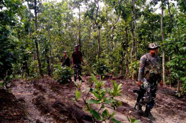 Chhattisgarh News Chhattisgarh News